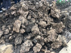 18_253675972_4513185072109047_905572107748348602_n