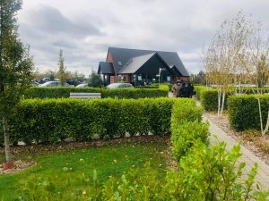 23_254078083_4513182245442663_8486737307218752953_n