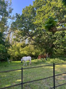 499381882_1096897842479323_949575816391076541_n