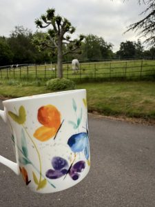 499943238_1096898049145969_5208707017385513063_n