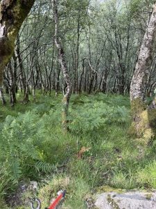 511306781_1124245136411260_3206996721342406389_n