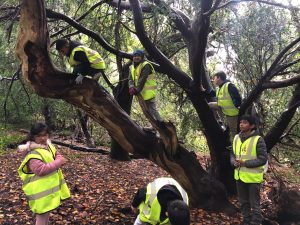 fourteen-box-hill-hike-10