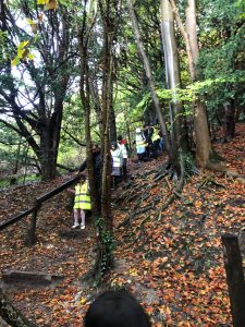 fourteen-box-hill-hike-11