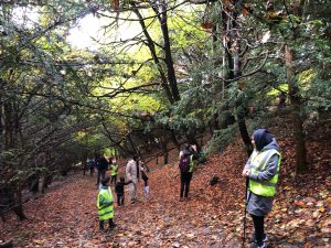 fourteen-box-hill-hike-12