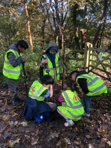 fourteen-box-hill-hike-21