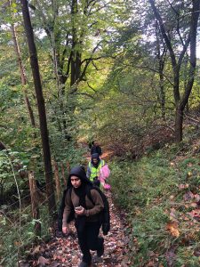 fourteen-box-hill-hike-22