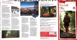 fourteen-box-hill-hike-29