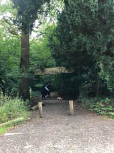 fourteen-box-hill-hike-31