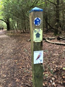 fourteen-box-hill-hike-34