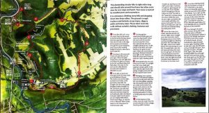 fourteen-box-hill-hike-38