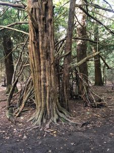 fourteen-box-hill-hike-41